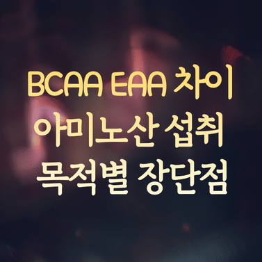 BCAA EAA 차이 및 아미노산 섭취 목적별 장단점 정리 1 BCAA EAA 차이 및 아미노산 섭취 목적별 장단점 정리