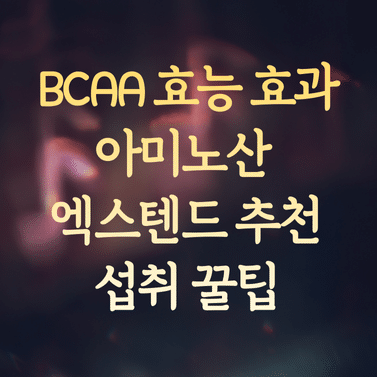 BCAA 효능과 아미노산 효과 (엑스텐드 추천 및 섭취 꿀팁) 1 BCAA 효능과 아미노산 효과 (엑스텐드 추천 및 섭취 꿀팁)